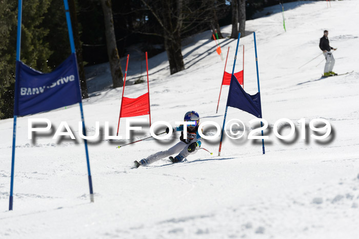 Ziener Cup WF,Finale, Quali + PSL, 30.03.2019