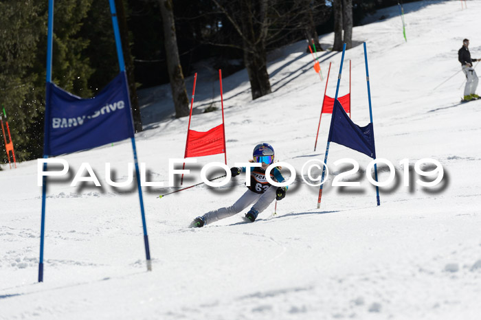 Ziener Cup WF,Finale, Quali + PSL, 30.03.2019