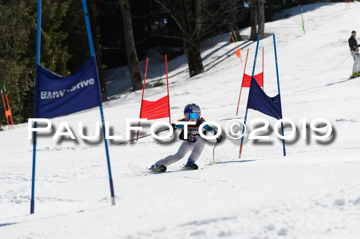 Ziener Cup WF,Finale, Quali + PSL, 30.03.2019