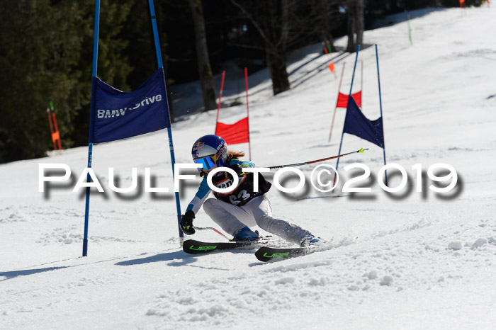 Ziener Cup WF,Finale, Quali + PSL, 30.03.2019