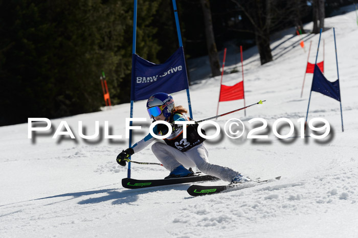 Ziener Cup WF,Finale, Quali + PSL, 30.03.2019
