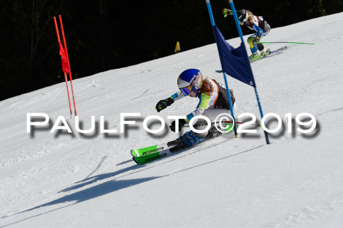 Ziener Cup WF,Finale, Quali + PSL, 30.03.2019