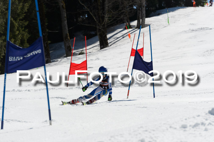 Ziener Cup WF,Finale, Quali + PSL, 30.03.2019