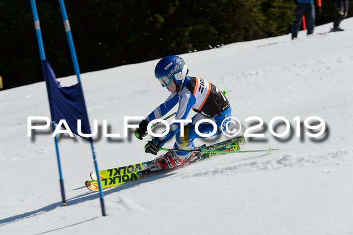 Ziener Cup WF,Finale, Quali + PSL, 30.03.2019