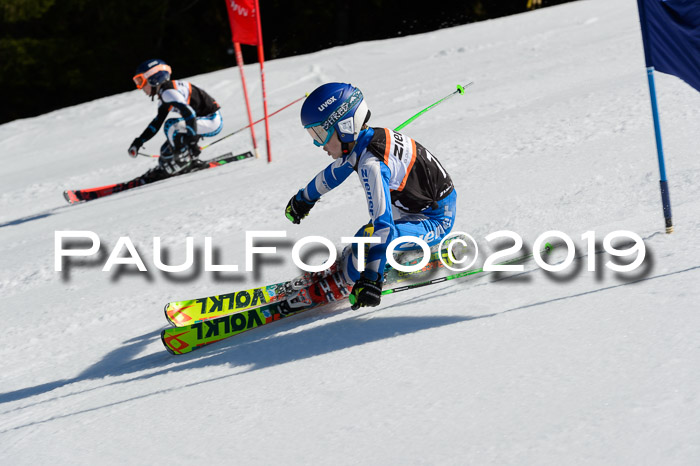 Ziener Cup WF,Finale, Quali + PSL, 30.03.2019