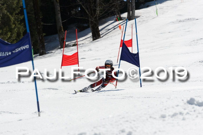 Ziener Cup WF,Finale, Quali + PSL, 30.03.2019