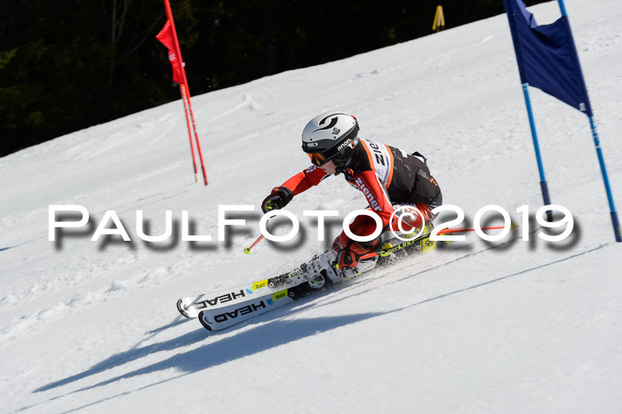 Ziener Cup WF,Finale, Quali + PSL, 30.03.2019
