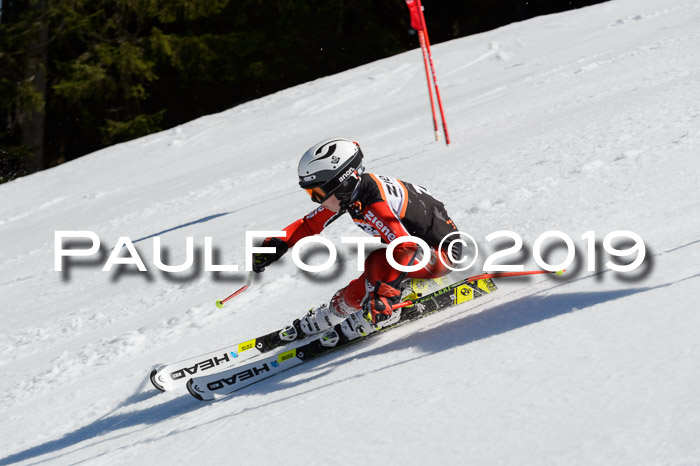 Ziener Cup WF,Finale, Quali + PSL, 30.03.2019