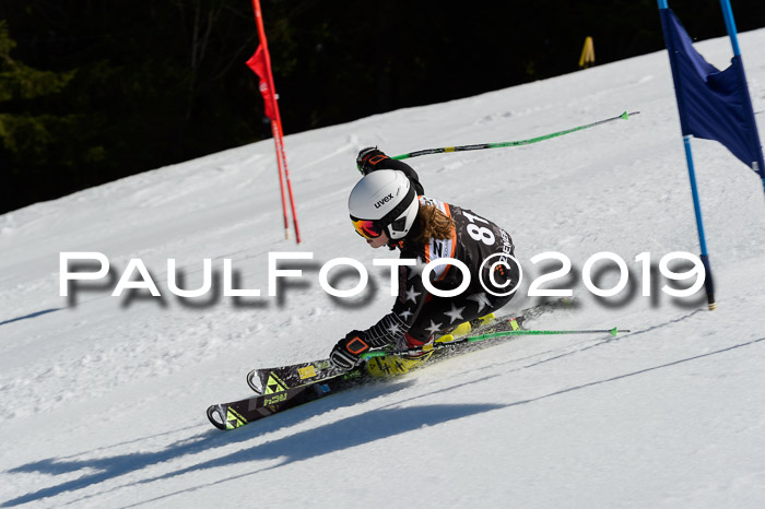 Ziener Cup WF,Finale, Quali + PSL, 30.03.2019