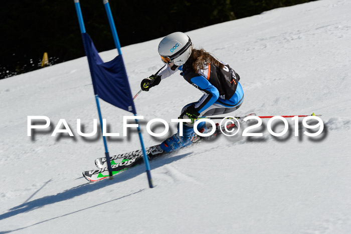 Ziener Cup WF,Finale, Quali + PSL, 30.03.2019