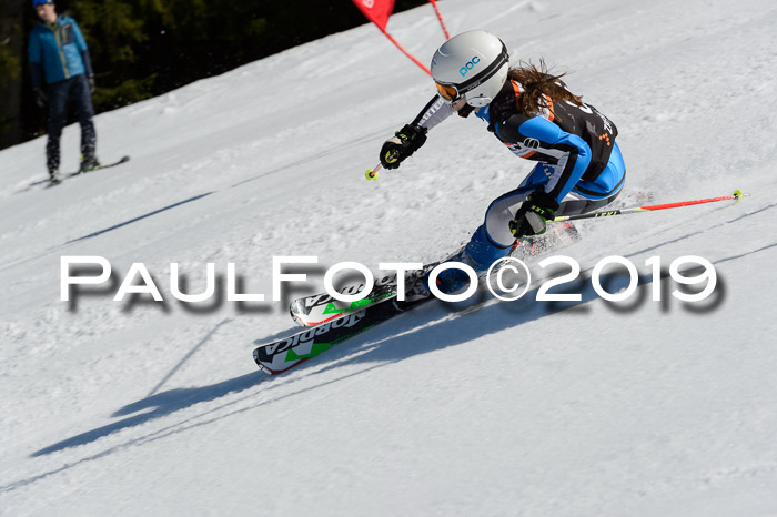 Ziener Cup WF,Finale, Quali + PSL, 30.03.2019