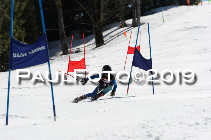 Ziener Cup WF,Finale, Quali + PSL, 30.03.2019