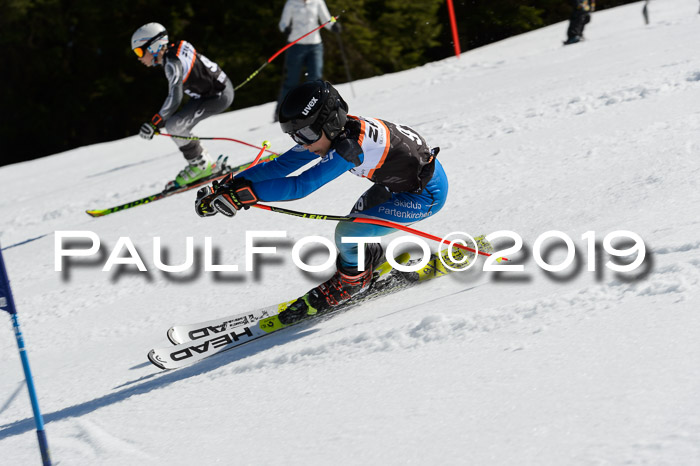 Ziener Cup WF,Finale, Quali + PSL, 30.03.2019