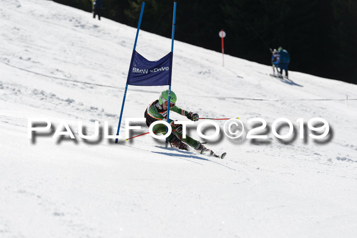 Ziener Cup WF,Finale, Quali + PSL, 30.03.2019