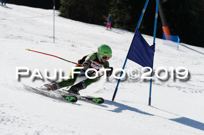Ziener Cup WF,Finale, Quali + PSL, 30.03.2019