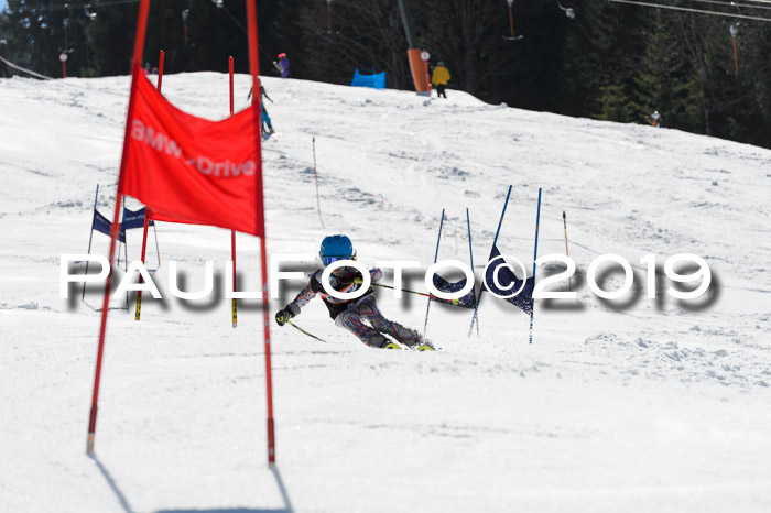 Ziener Cup WF,Finale, Quali + PSL, 30.03.2019
