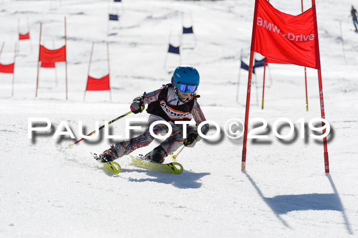 Ziener Cup WF,Finale, Quali + PSL, 30.03.2019