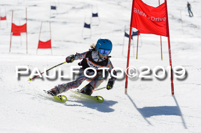 Ziener Cup WF,Finale, Quali + PSL, 30.03.2019