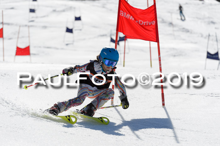Ziener Cup WF,Finale, Quali + PSL, 30.03.2019