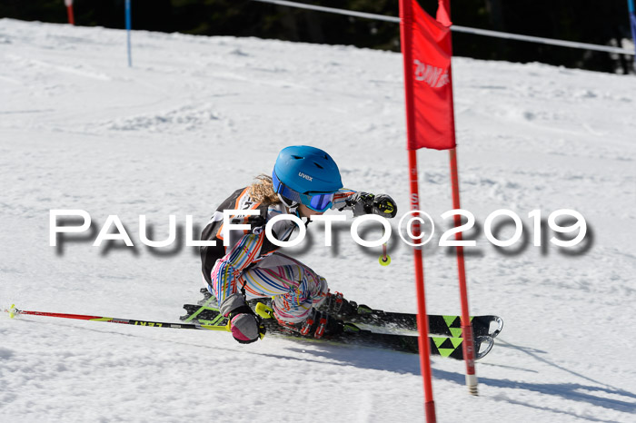 Ziener Cup WF,Finale, Quali + PSL, 30.03.2019