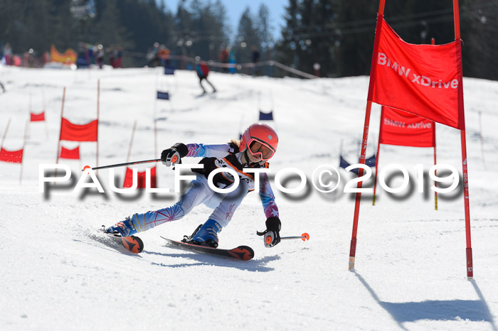 Ziener Cup WF,Finale, Quali + PSL, 30.03.2019