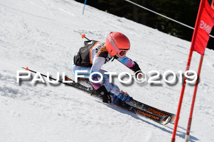 Ziener Cup WF,Finale, Quali + PSL, 30.03.2019