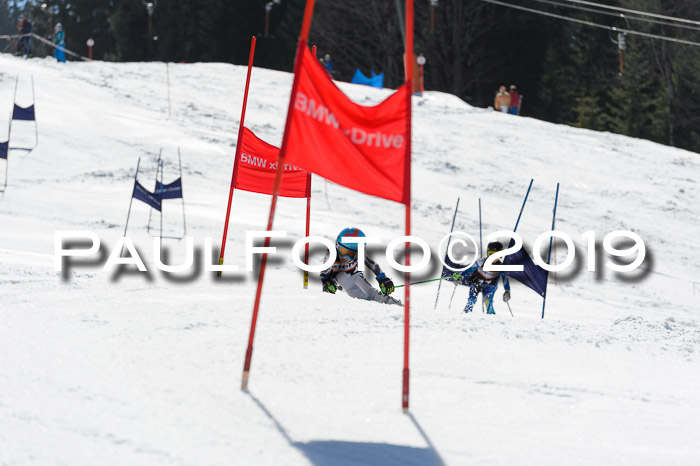 Ziener Cup WF,Finale, Quali + PSL, 30.03.2019