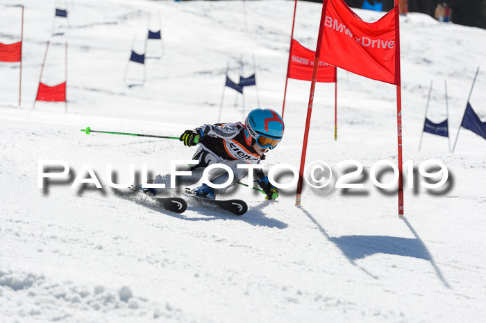 Ziener Cup WF,Finale, Quali + PSL, 30.03.2019