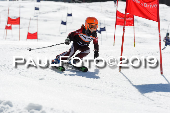 Ziener Cup WF,Finale, Quali + PSL, 30.03.2019