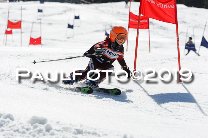 Ziener Cup WF,Finale, Quali + PSL, 30.03.2019
