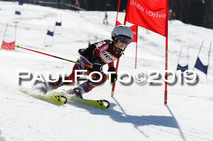 Ziener Cup WF,Finale, Quali + PSL, 30.03.2019