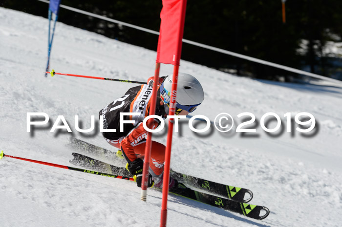 Ziener Cup WF,Finale, Quali + PSL, 30.03.2019