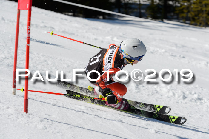 Ziener Cup WF,Finale, Quali + PSL, 30.03.2019