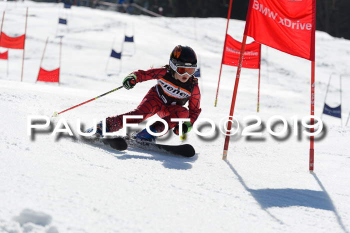 Ziener Cup WF,Finale, Quali + PSL, 30.03.2019