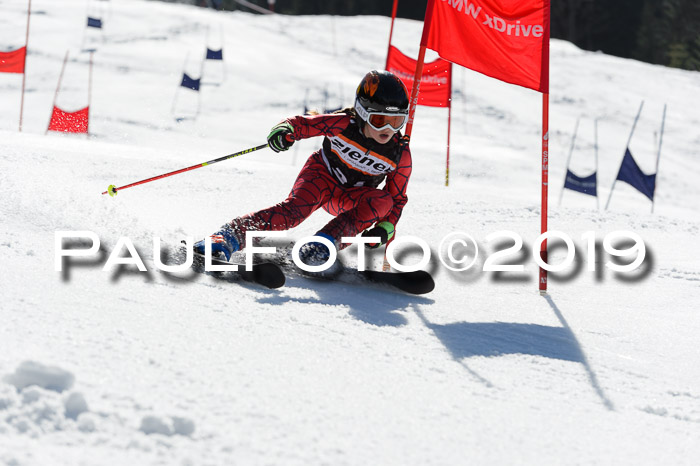Ziener Cup WF,Finale, Quali + PSL, 30.03.2019
