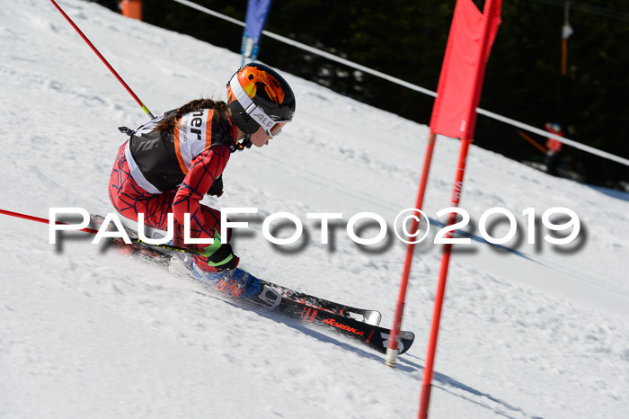 Ziener Cup WF,Finale, Quali + PSL, 30.03.2019