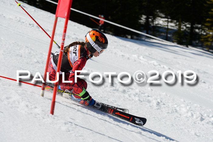 Ziener Cup WF,Finale, Quali + PSL, 30.03.2019