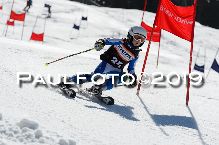 Ziener Cup WF,Finale, Quali + PSL, 30.03.2019