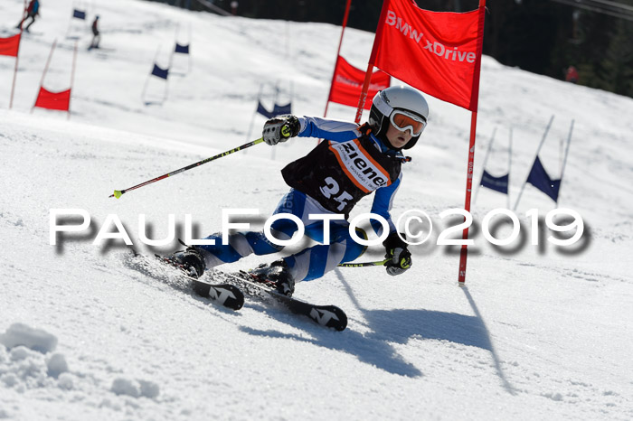 Ziener Cup WF,Finale, Quali + PSL, 30.03.2019