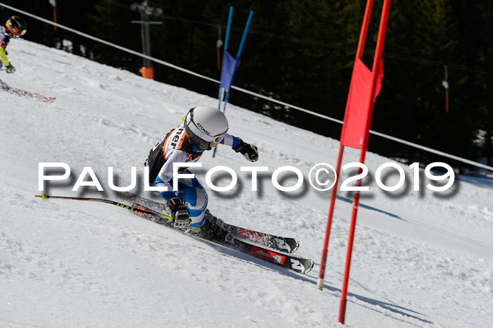 Ziener Cup WF,Finale, Quali + PSL, 30.03.2019