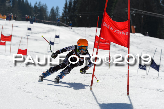 Ziener Cup WF,Finale, Quali + PSL, 30.03.2019