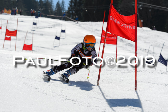 Ziener Cup WF,Finale, Quali + PSL, 30.03.2019