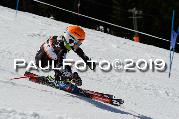 Ziener Cup WF,Finale, Quali + PSL, 30.03.2019