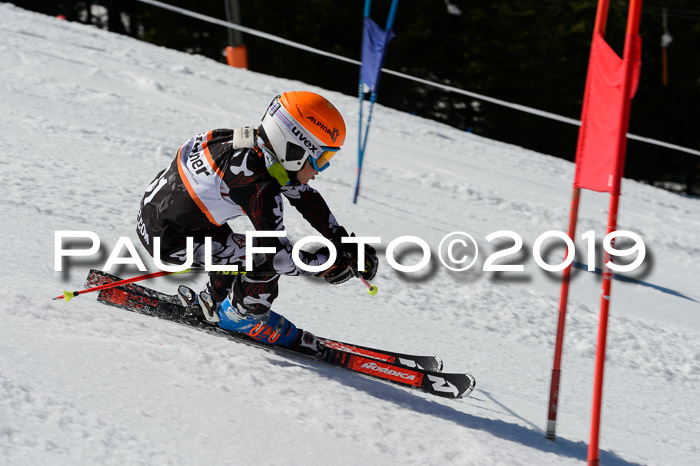 Ziener Cup WF,Finale, Quali + PSL, 30.03.2019
