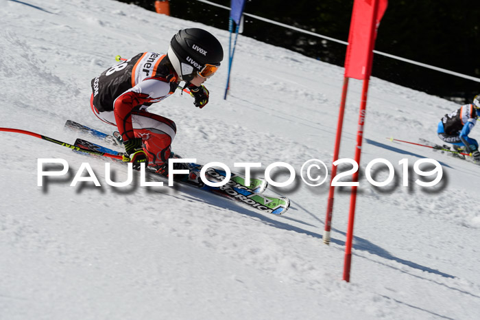 Ziener Cup WF,Finale, Quali + PSL, 30.03.2019