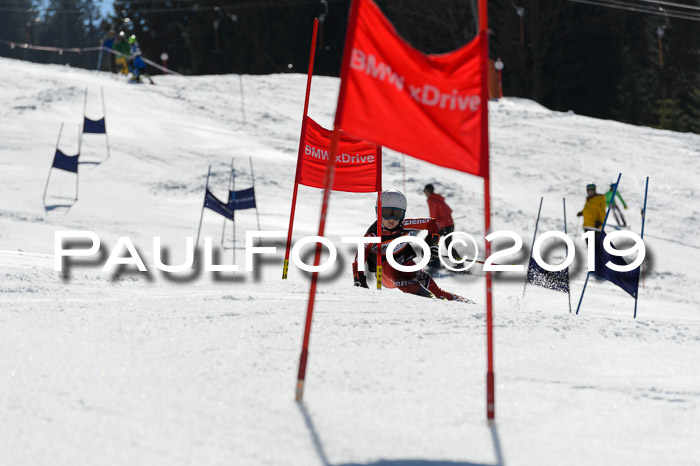 Ziener Cup WF,Finale, Quali + PSL, 30.03.2019