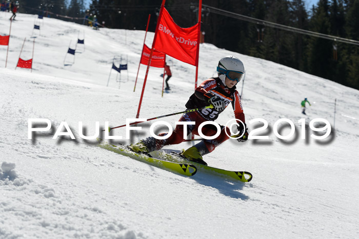 Ziener Cup WF,Finale, Quali + PSL, 30.03.2019