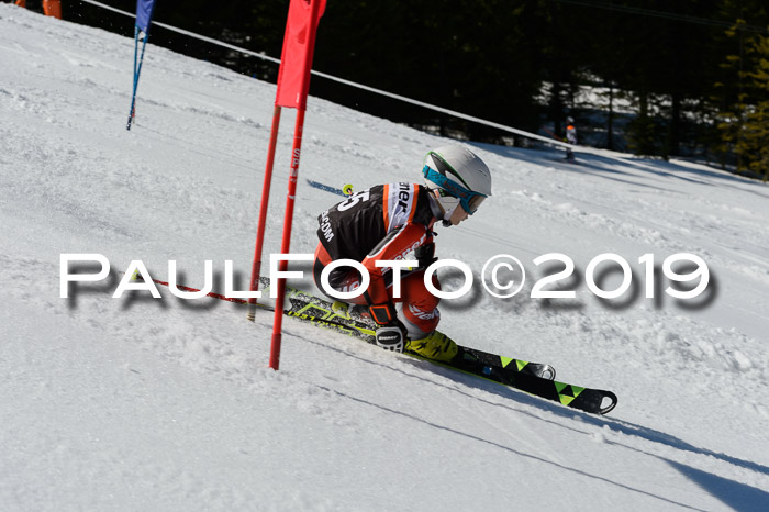 Ziener Cup WF,Finale, Quali + PSL, 30.03.2019