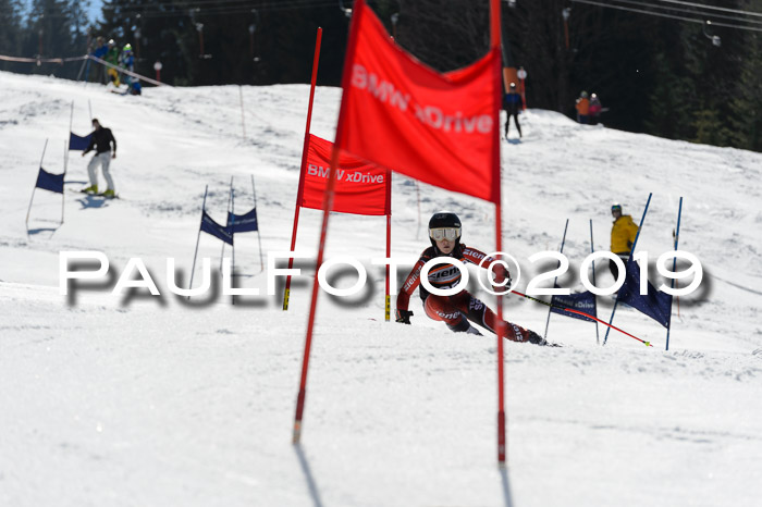 Ziener Cup WF,Finale, Quali + PSL, 30.03.2019