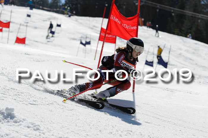 Ziener Cup WF,Finale, Quali + PSL, 30.03.2019